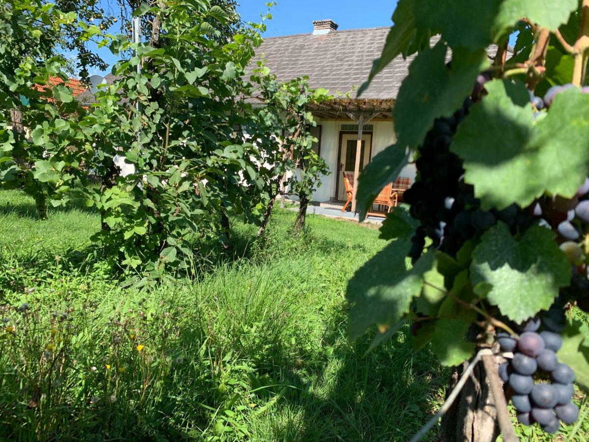 Urlaub im Weingarten Winten  Exterior foto
